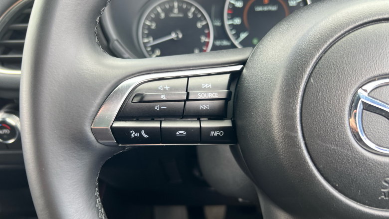 Mazda 3 2.5 e-Skyactiv G MHEV [140] Homura 5dr Petrol Hatchback